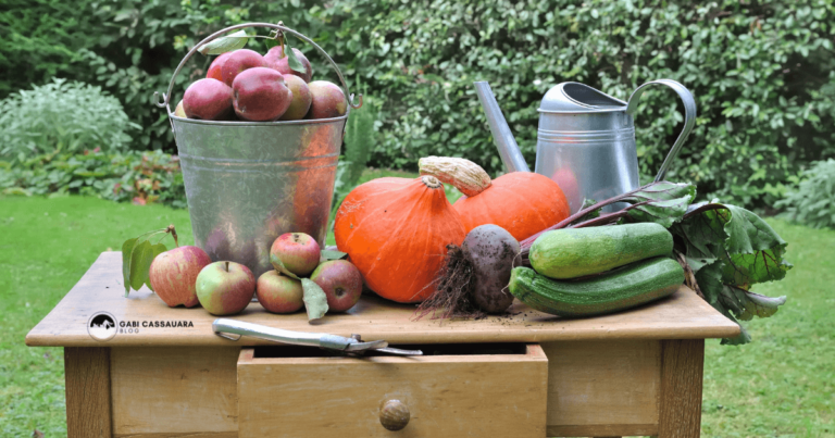 descubra os beneficios das frutas e legumes da epoca mês de maio