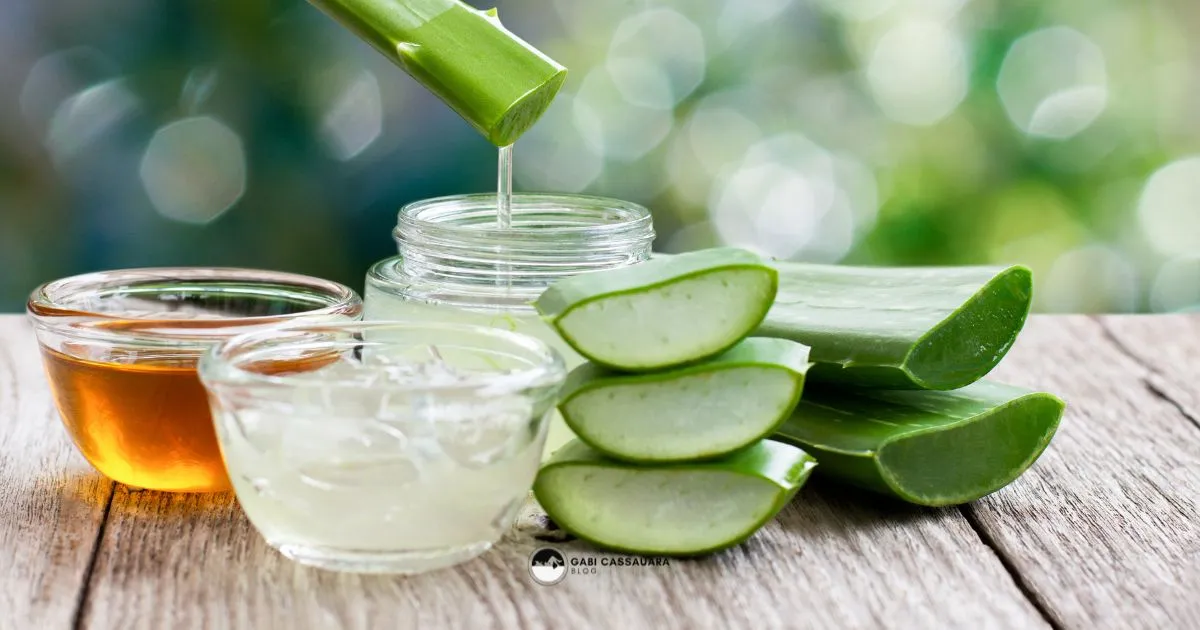 Descubra os melhores ingredientes naturais para cuidar da pele no inverno. Produtos e dicas para hidratar e proteger sua pele.